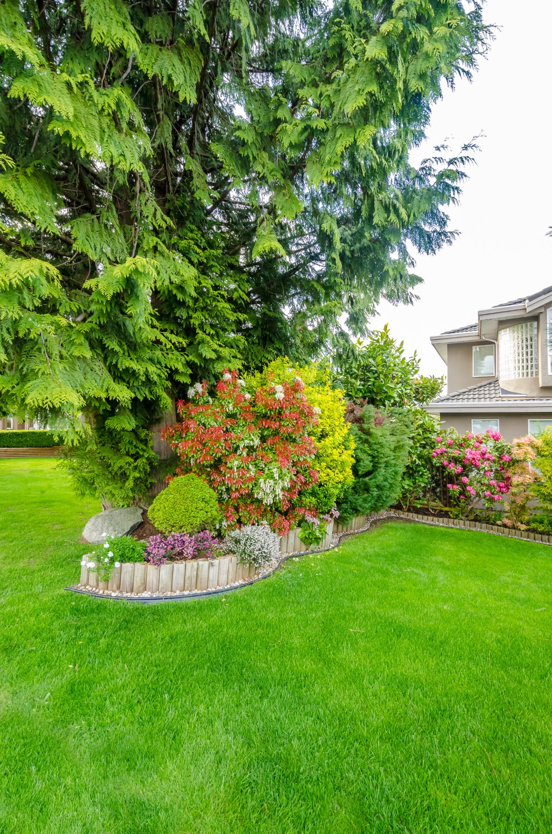 beautiful backyard with lawn and shrubs