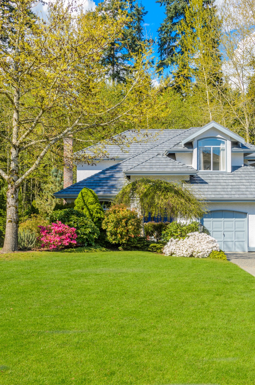 beautiful frontyard with lawn and shrubs